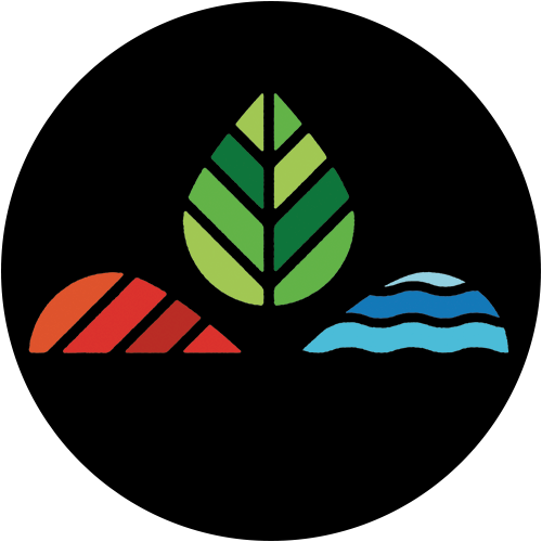 CAG logo CAG logo