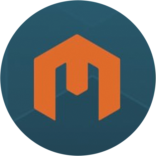 MIR logo MIR logo