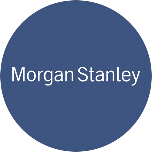 MS logo