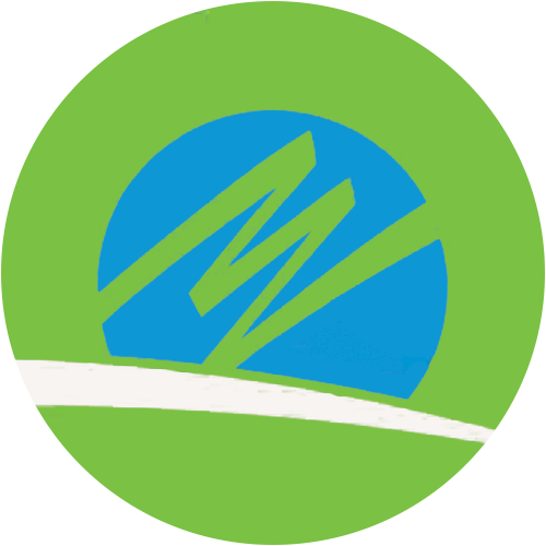 NEE logo NEE logo