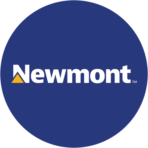 NEM logo NEM logo
