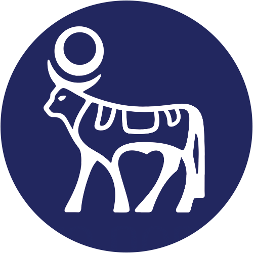 NVO logo