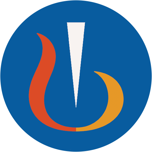 NVS logo