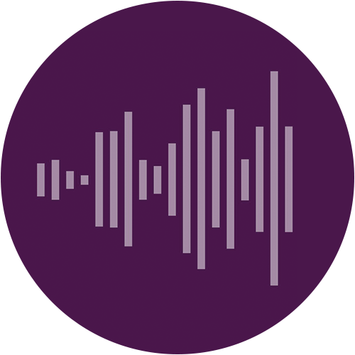 SOUN logo SOUN logo