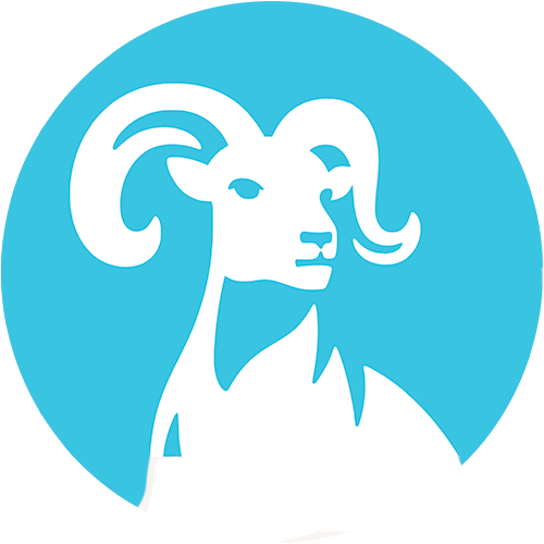 THYF logo