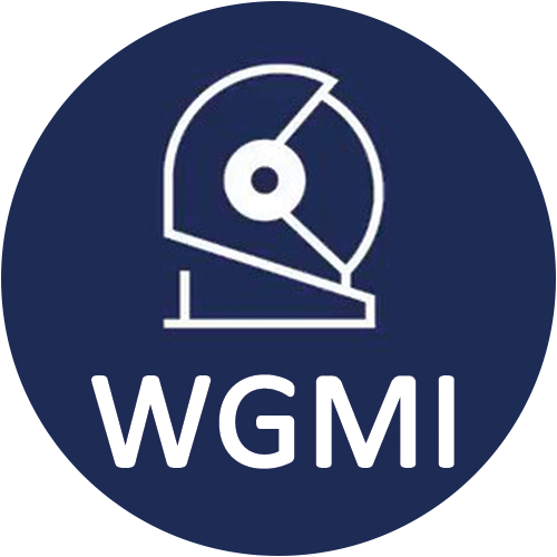 WGMI logo WGMI logo