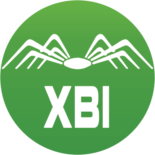 XBI logo