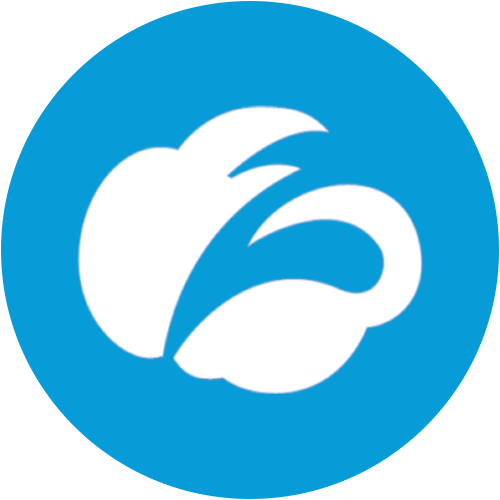 ZS logo ZS logo